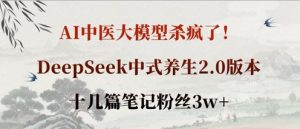 AI中医大模型杀疯了！DeepSeek中式养生2.0版本，十几篇笔记粉丝3w+-知识创作