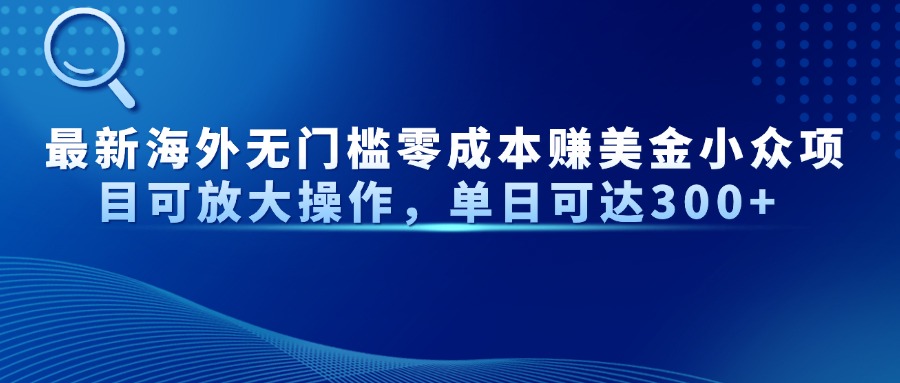 最新海外无门槛零成本赚美金小众项目可放大操作，单日可达300+-知识创作