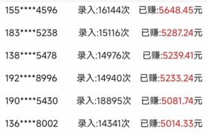 信息录入，几秒一单，只需一部手机，小白轻松上手，日入500＋-知识创作