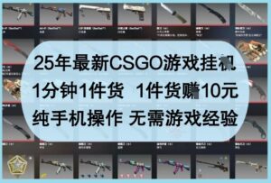 25年最新CSGO游戏挂G，1分钟1件货，1件货挣10元，纯手机操作，无需游戏经验【揭秘】-知识创作