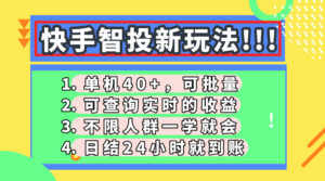 快手智投新玩法，单机日入40+，可批量，可查询实时收益，收益日结24小...-知识创作