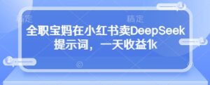 全职宝妈在小红书卖DeepSeek提示词，一天收益1k-知识创作