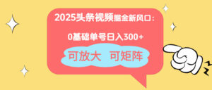 2025头条视频掘金新风口：0基础日入300+，可放大，可矩阵-知识创作