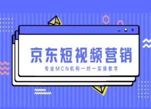 京东短视频营销项目，专业MCN机构一对一实操教学-知识创作