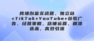 跨境创富实战营，独立站+TikTok+YouTube+谷歌广告，经营策略，店铺运营，精准选品，高效引流-知识创作