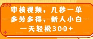 视频审核员，几秒一单，不限时间，不限地点，多做多得，新人小白一天轻松几张+【揭秘】-知识创作