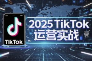 2025TikTok电商运营，掌握TikTok店铺运营核心技巧，实现低成本高转化-知识创作