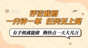 评论截图，0.5元一单，一分钟一单，有手机就能做，任务无上限，勤快点一天几张【揭秘】-知识创作