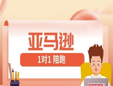 亚马逊1对1陪跑课(FBA/FBM精铺)跨境亚马逊教程-知识创作
