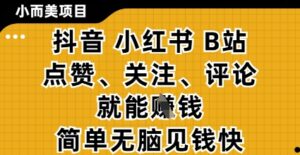 小而美的项目，抖音小红书B站视频点赞、关注、评论就能挣钱，简单无脑立见收益，妥妥的零撸项目【揭秘】-知识创作