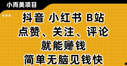 小而美的项目，抖音小红书B站视频点赞、关注、评论就能挣钱，简单无脑立见收益，妥妥的零撸项目【揭秘】-知识创作