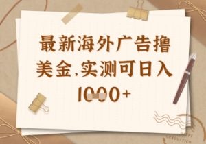 最新海外广告联盟挂机撸美金项目，实测可日入多张【揭秘】-知识创作