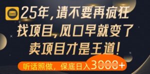 什么？25年你还在疯狂找项目做，醒醒吧，看完这些你全都懂了【揭秘】-知识创作