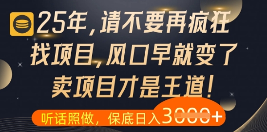 什么？25年你还在疯狂找项目做，醒醒吧，看完这些你全都懂了【揭秘】-知识创作