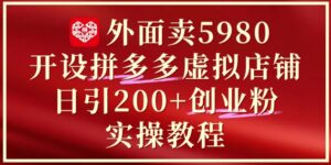 外面卖5980开设拼多多虚拟店铺：单日引流200+创业付费粉实战教程-知识创作