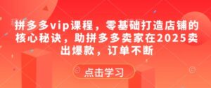 拼多多vip课程，零基础打造店铺的核心秘诀，助拼多多卖家在2025卖出爆款，订单不断-知识创作