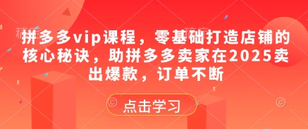 拼多多vip课程，零基础打造店铺的核心秘诀，助拼多多卖家在2025卖出爆款，订单不断-知识创作