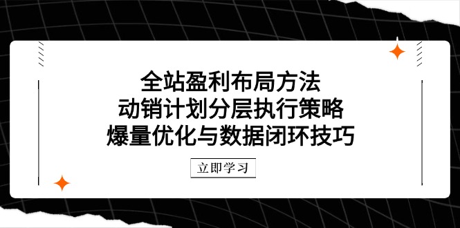 全站盈利布局方法：动销计划分层执行策略，爆量优化与数据闭环技巧-知识创作
