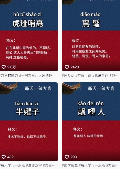 抖音最新涨粉玩法，图文方言暴力涨粉实操，126作品涨粉11W-知识创作