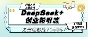 DeepSeek+创业粉精准引流，全新分享课4.0玩法，AI矩阵日引300+，多种变现方式，稳定月入1W-知识创作