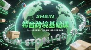 希音跨境基础课，SHEIN希音卖家入门实操指南，新手入坑希音必看-知识创作