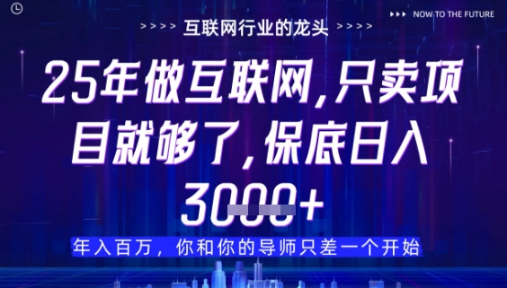 什么！25年你还在找项目做？风口早就变了，卖项目才是稳挣不赔【揭秘】-知识创作