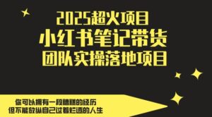 2025超火项目，副业最佳选择，小红书笔记带货团队实操落地项目，，轻松日入5张-知识创作
