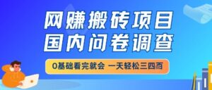 网创搬砖项目，国内问卷调查，小白轻松上手，一天三四张的也不难，干就完了【揭秘】-知识创作