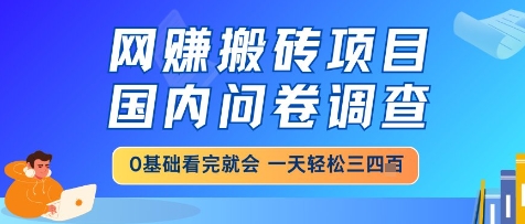 网创搬砖项目，国内问卷调查，小白轻松上手，一天三四张的也不难，干就完了【揭秘】-知识创作