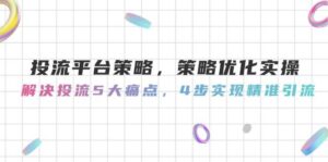 投流平台策略，策略优化实操，解决投流5大痛点，4步实现精准引流-知识创作