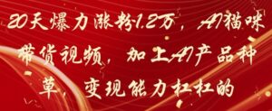 20天爆力涨粉1.2W，AI猫咪带货视频，加上AI产品种草，变现能力杠杠的-知识创作