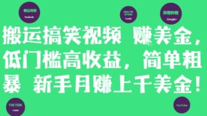 搬运搞笑视频挣美金，低门槛高收益，简单粗暴新手月入上千美刀-知识创作