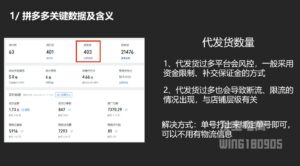 纪主任·拼多多年费会员(更新5月)-知识创作