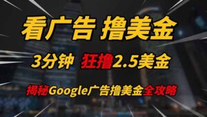 看广告，撸美金！！3分钟赚2.5美金！！日入200美金不是梦！揭秘Google...-知识创作