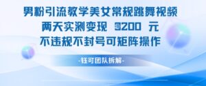 男粉引流教学美女常规跳舞视频两天实测变现1k+，不违规不封号可矩阵操作-知识创作