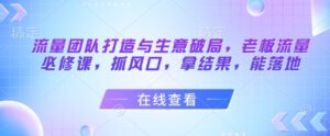 流量团队打造与生意破局，老板流量必修课，抓风口，拿结果，能落地-知识创作