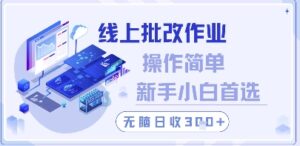 线上批改作业，操作简单新手小白首选，无脑日收300+【揭秘】-知识创作