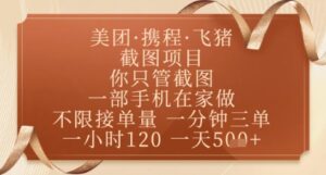 飞猪美团截图项目，你只管截图，一部手机在家做，正规平台无套路，一天5张+【揭秘】-知识创作