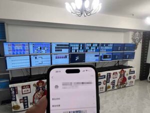 2025年实操六大项目实操演练，挂机类型，AI直播类型，轻资产创业类型，...-知识创作