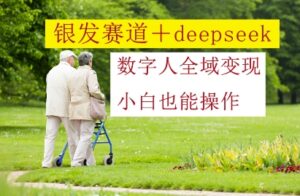 银发赛道+deepseek数字人全域变现，小白也能操作-知识创作