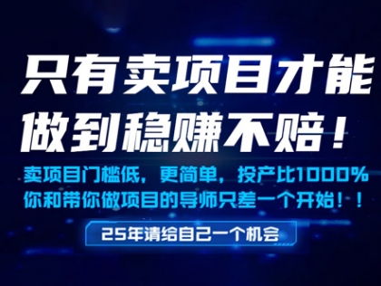 只有卖项目才能做到稳挣不赔，门槛低，更简单，你也可以年入百个W【揭秘】-知识创作
