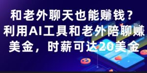 和老外聊天也能挣钱？利用AI工具和老外陪聊挣美金，时薪可达20刀-知识创作