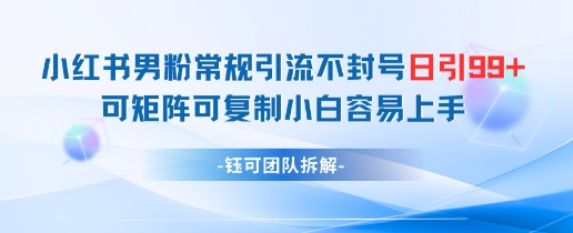 小红书男粉常规引流不封号日引99+变现简单 可矩阵可复制小白容易上手-知识创作