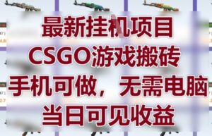 最新挂G项目，CSGO游戏搬砖，手机可做，无需电脑，当日见收益【揭秘】-知识创作