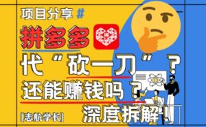 【2025最新】拼多多代坎助力项目深度拆解：还能挣钱吗?全流程玩法-知识创作