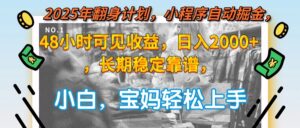 2025年翻身计划，小程序自动掘金48小时可见收益，日入2000+，长期稳定...-知识创作