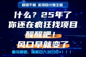 什么？25年你还在疯狂找项目做，醒醒吧，看完这些你全都懂了！【揭秘】-知识创作