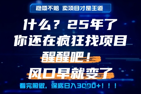 什么？25年你还在疯狂找项目做，醒醒吧，看完这些你全都懂了！【揭秘】-知识创作