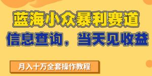 蓝海小众暴利赛道，信息查询，当天见收益，不讲玄学，7天搞了2万+-知识创作
