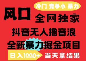 25年6月高爆抖音无人直播最新撸音浪掘金项目，解放双手小白可做，无脑日入1k+，门槛低【揭秘】-知识创作